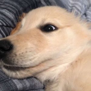 Meet your Posher, Ethan